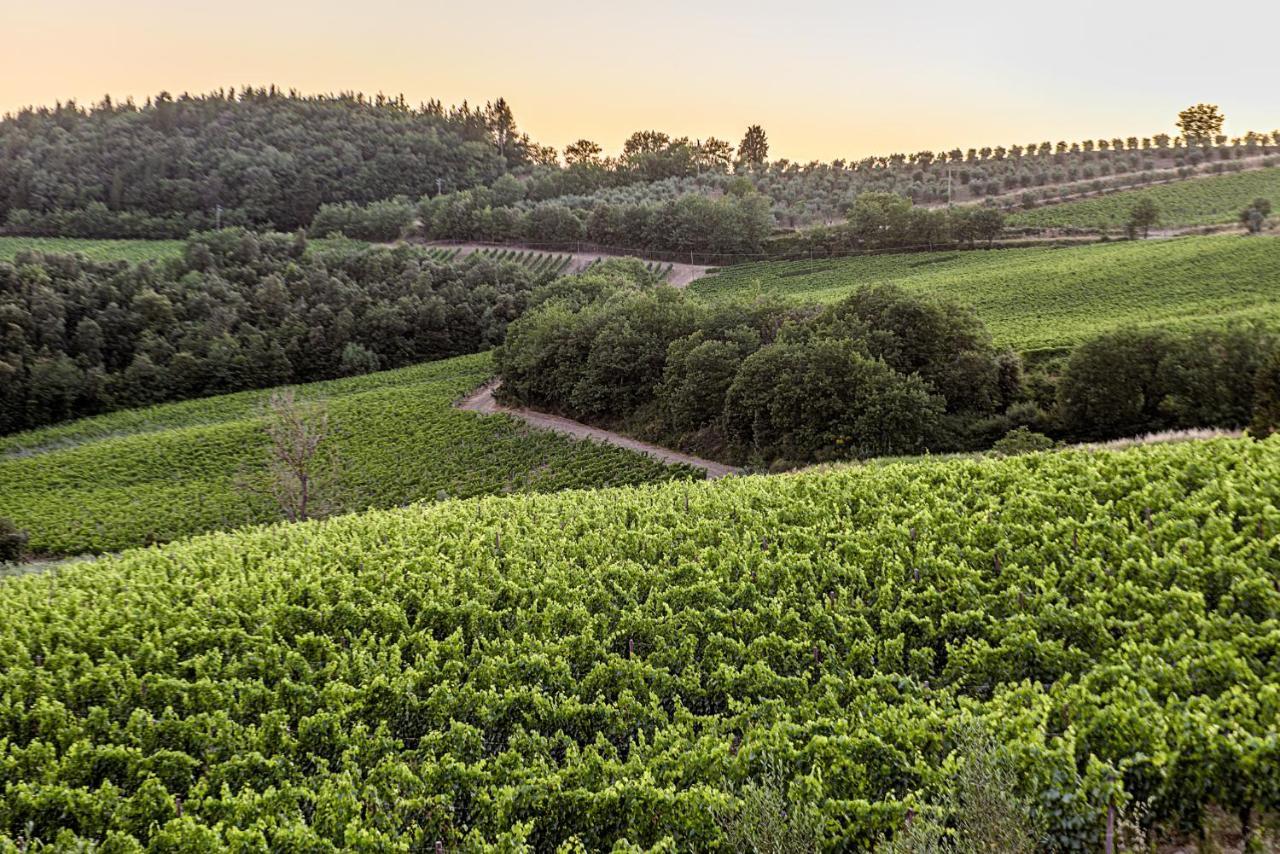 Agriturismo Casa Al Bosco Villa Castellina in Chianti Dış mekan fotoğraf